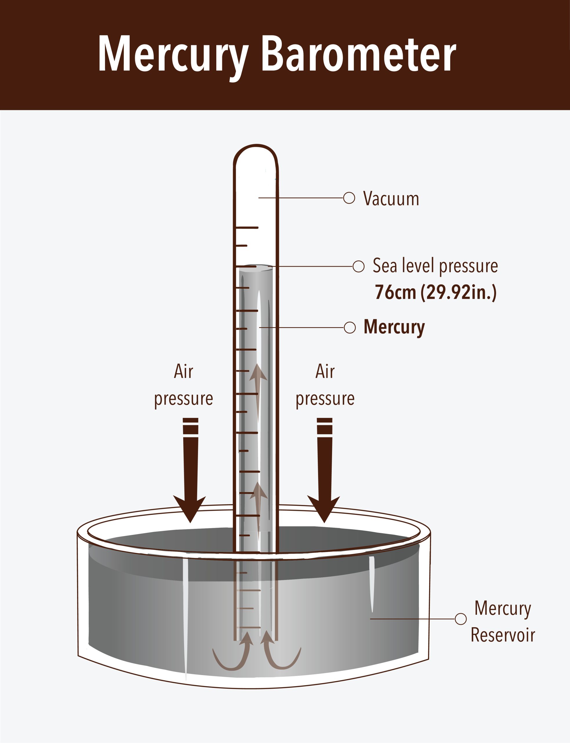Illustration of a mercury barometer like Toricelli's one