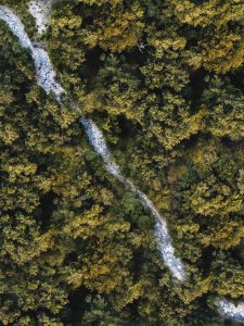 aerial view of a river and trees. picture taken with a drone